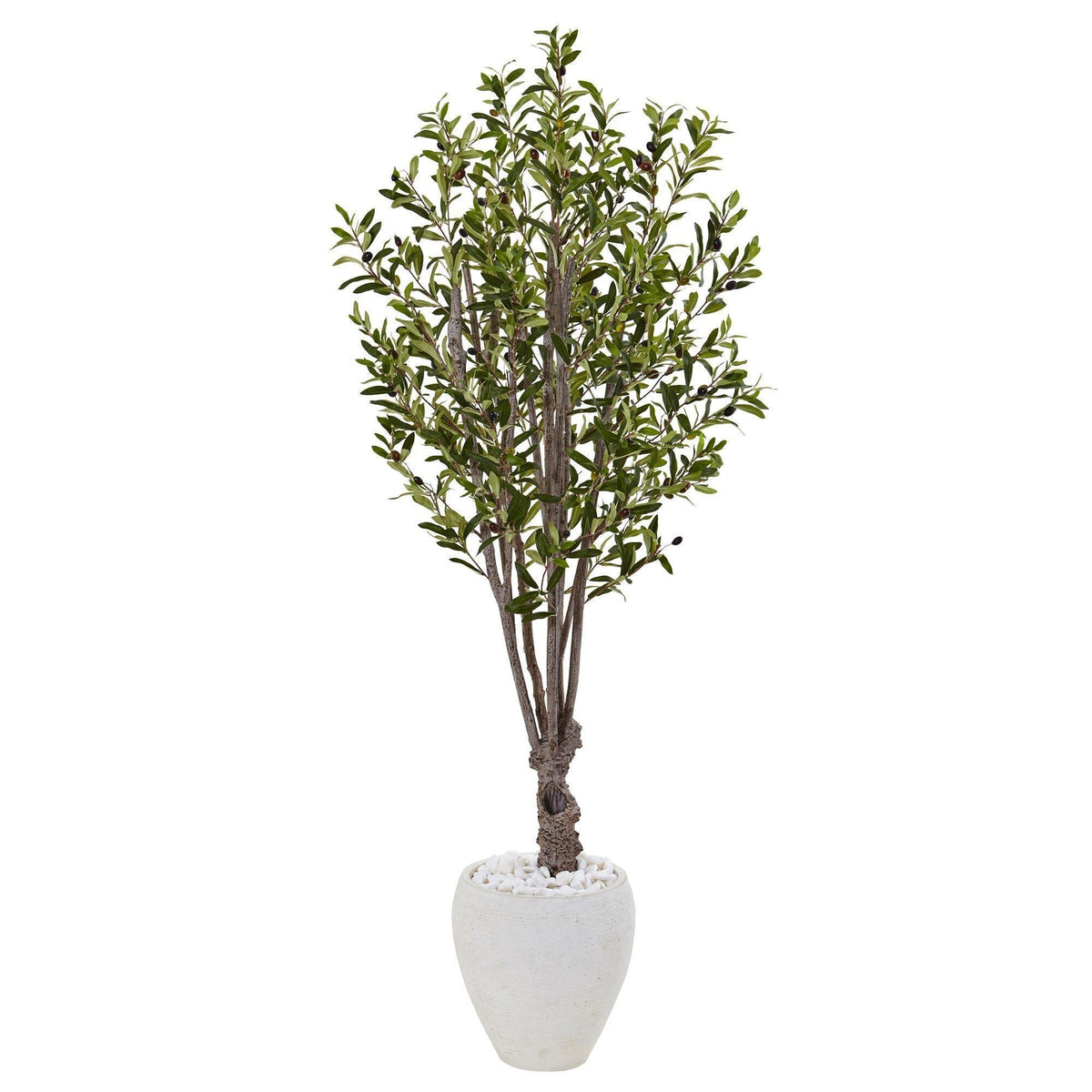 5’ Olive Tree in White Planter-2