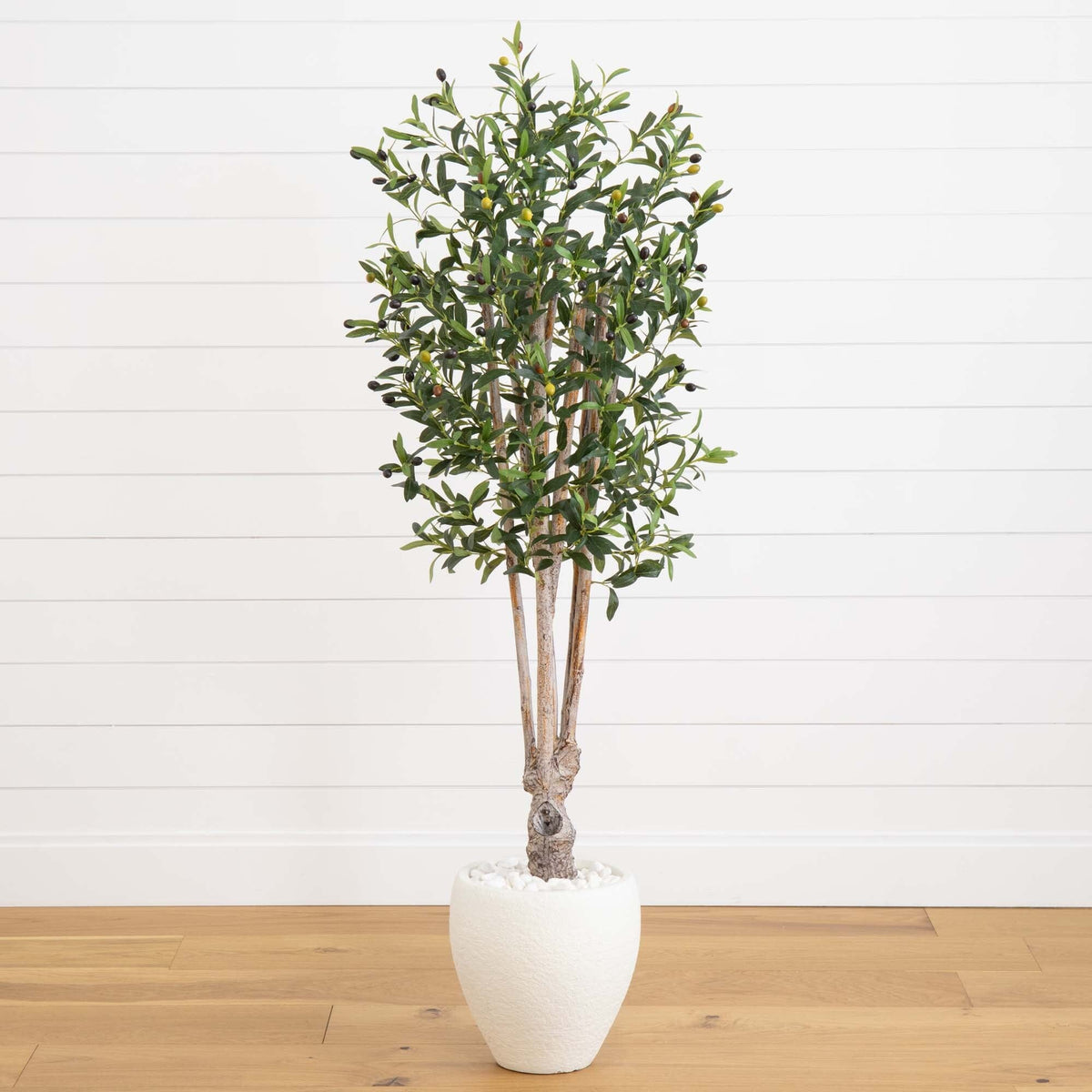 5’ Olive Tree in White Planter-0