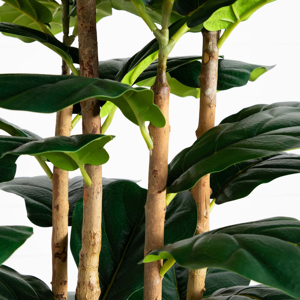 Artificial Fiddle Leaf Tree in White Planter - 7'-2