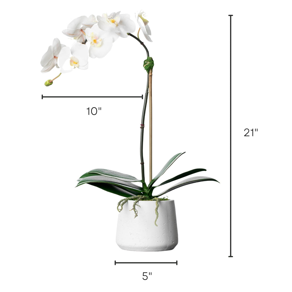 Artificial orchid plant - white orchid in white pot - 21"-2