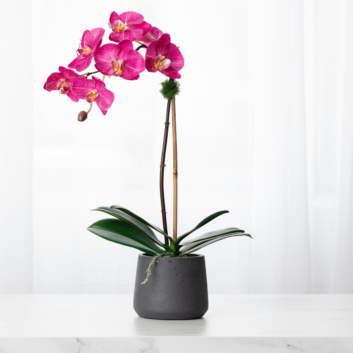 Artificial orchid plant - pink phalaenopsis orchid in black pot - 21"-0