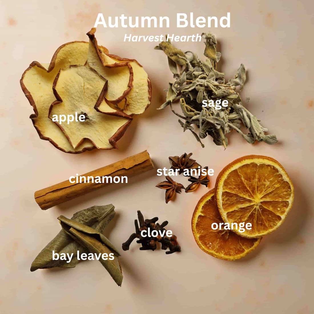 Seasonal Simmer Pot Blends-2
