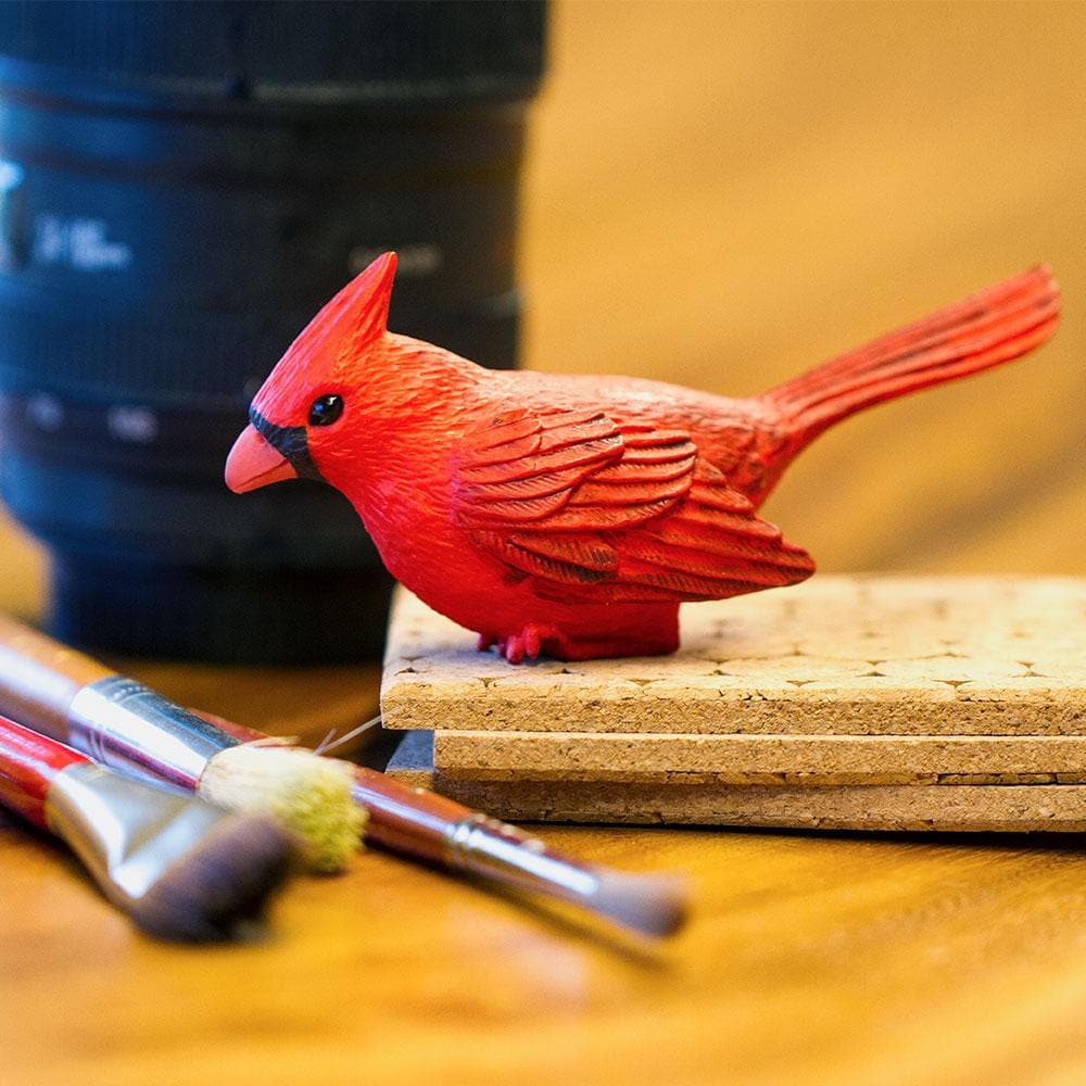 Cardinal Toy-1