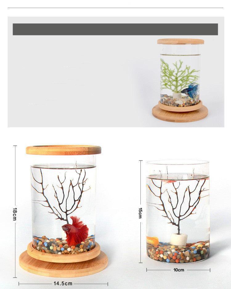Mini glass cylindrical fish tank with a natural spliced bamboo base on a table — view 3