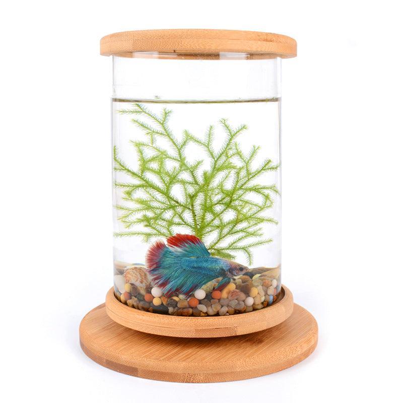 Mini glass cylindrical fish tank with a natural spliced bamboo base on a table — view 2