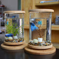 Mini glass cylindrical fish tank with a natural spliced bamboo base on a table
