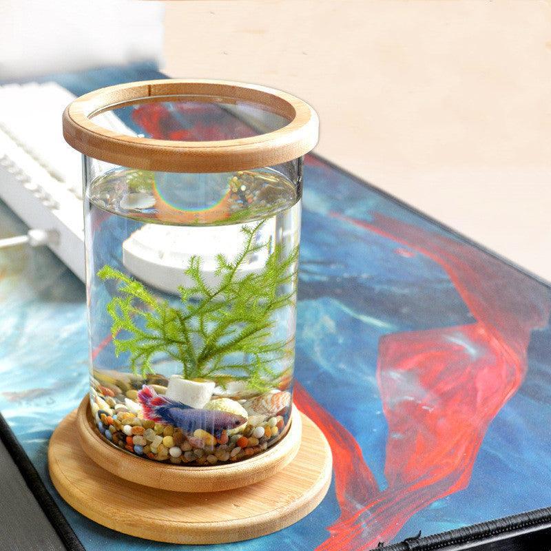 Mini glass cylindrical fish tank with a natural spliced bamboo base on a table — view 5