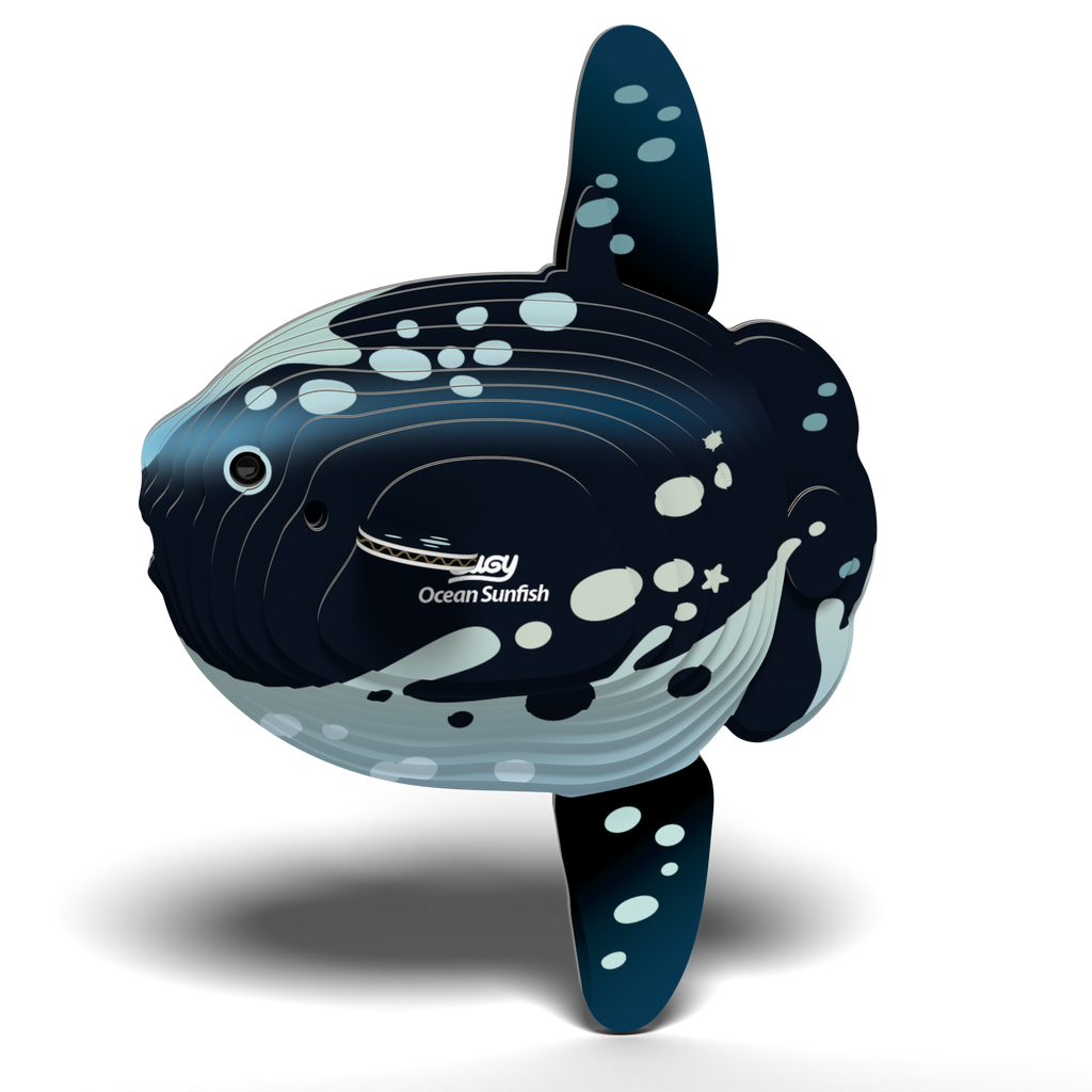 Ocean Sunfish 3D puzzle assembled showing tall fins and spotted pattern from eco-friendly cardboard — view 4
