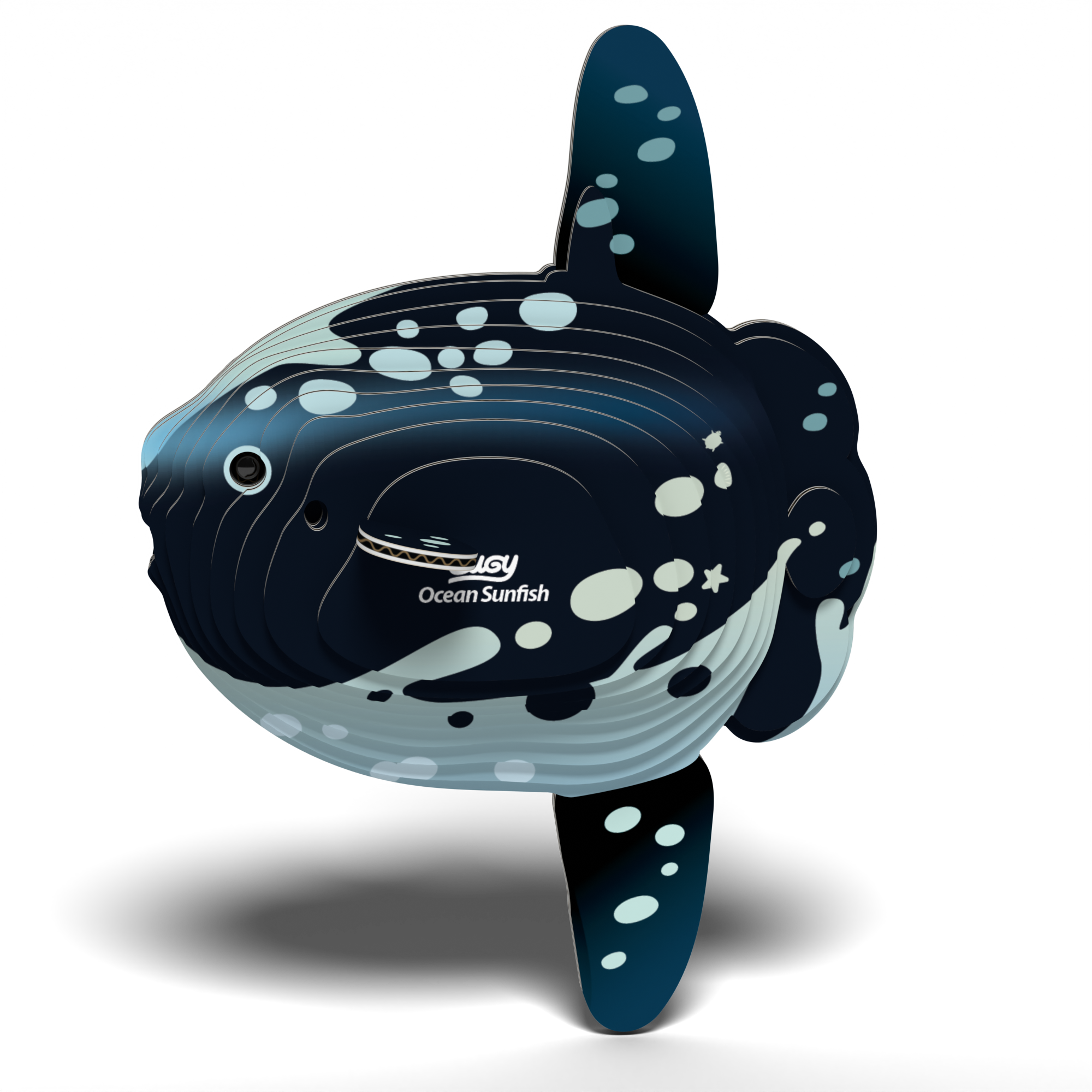 Ocean Sunfish 3D puzzle assembled showing tall fins and spotted pattern from eco-friendly cardboard — view 4