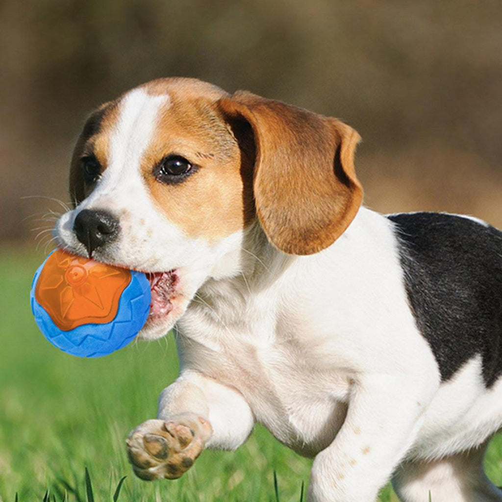 Glowing audible dog toy ball in bright plastic with studded teeth-grinding texture for fetch play.