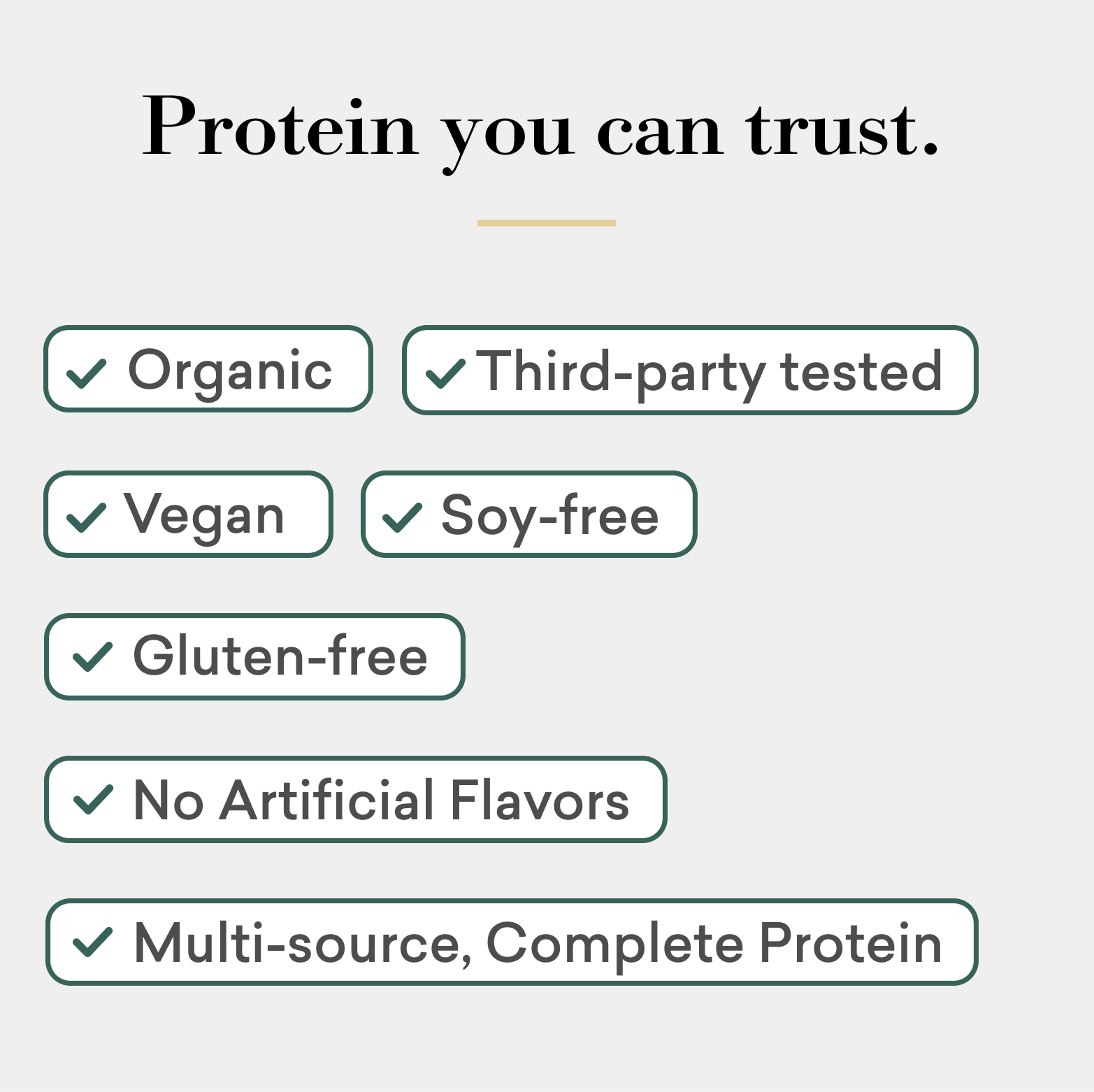 Natural protein blend powder in a container, premium organic plant-based fitness and muscle recovery supplement — view 4