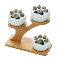 Wooden freestanding plant stand with natural finish holding multiple flower pots and Bonsai trees