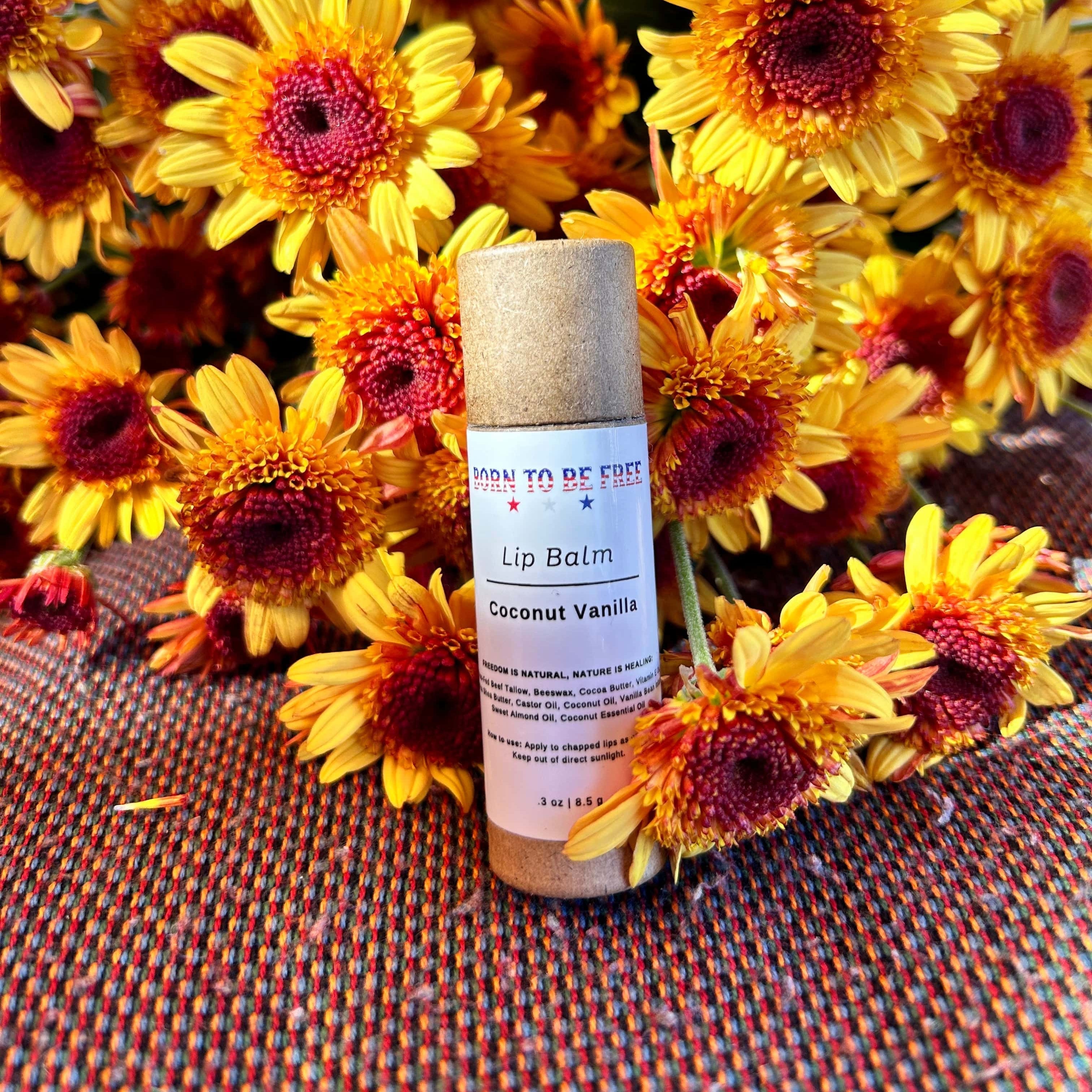 Natural coconut vanilla tallow lip balm in an eco-friendly kraft paper push-up tube packaging — view 5
