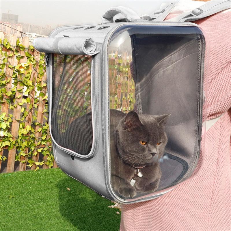 Pink and gray transparent bubble space capsule pet carrier backpack for cats and dogs — view 3