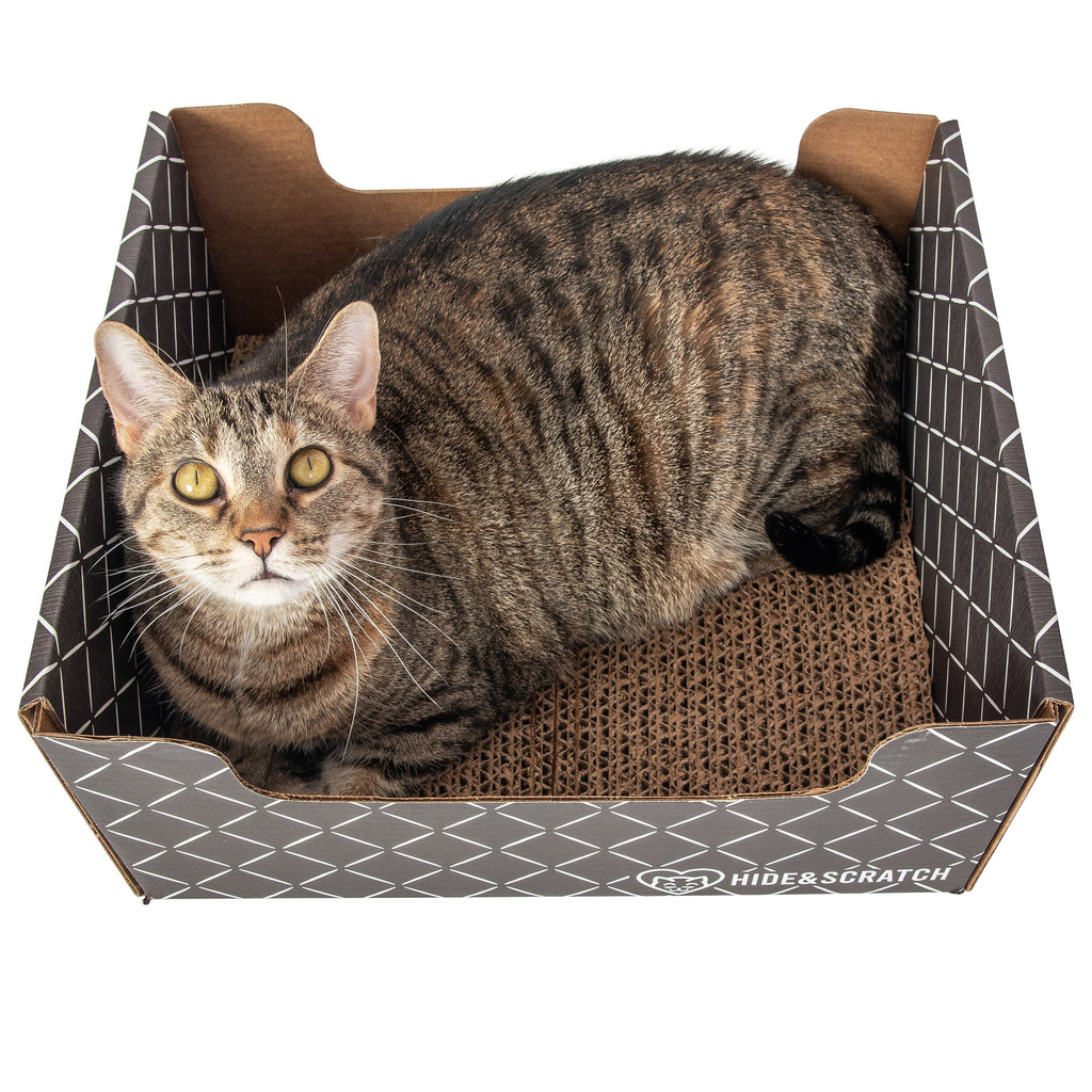 Fifteen pack of corrugated cardboard cat scratcher hideaway boxes for indoor feline play and lounging