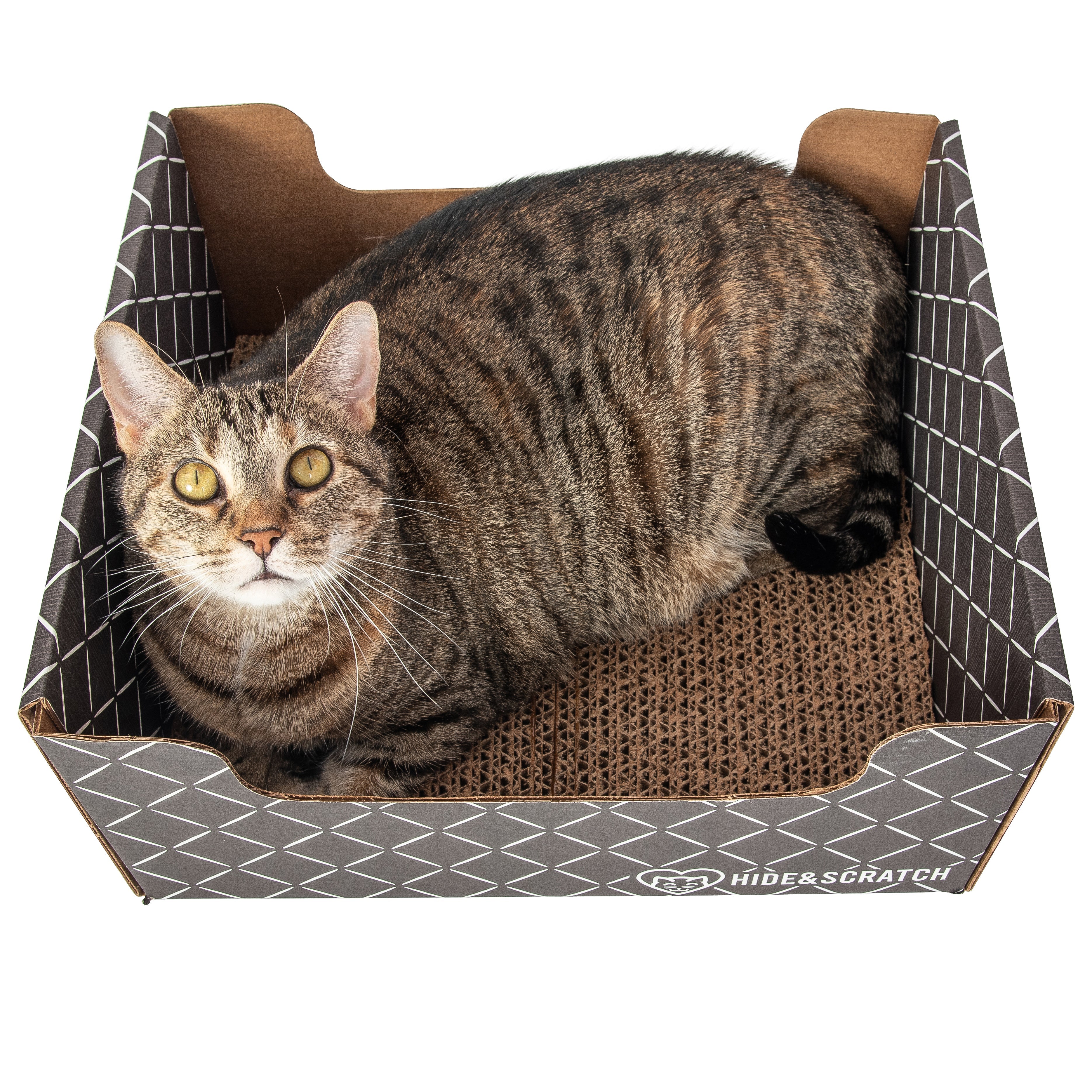 Fifteen pack of corrugated cardboard cat scratcher hideaway boxes for indoor feline play and lounging