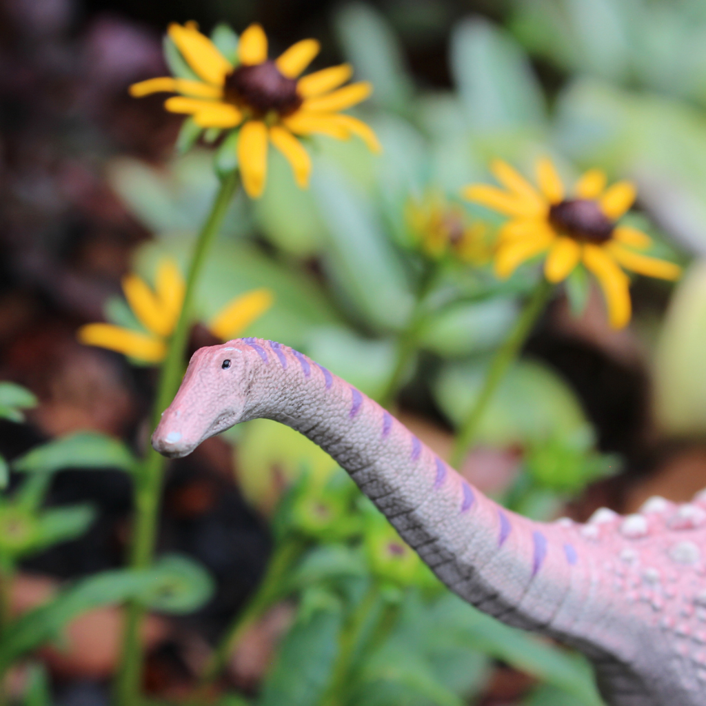 Saltasaurus Toy-2