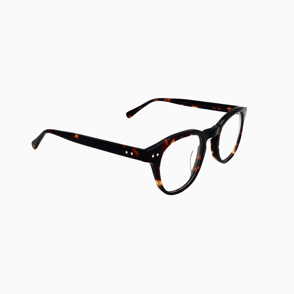 Cabot - Tortoise-2