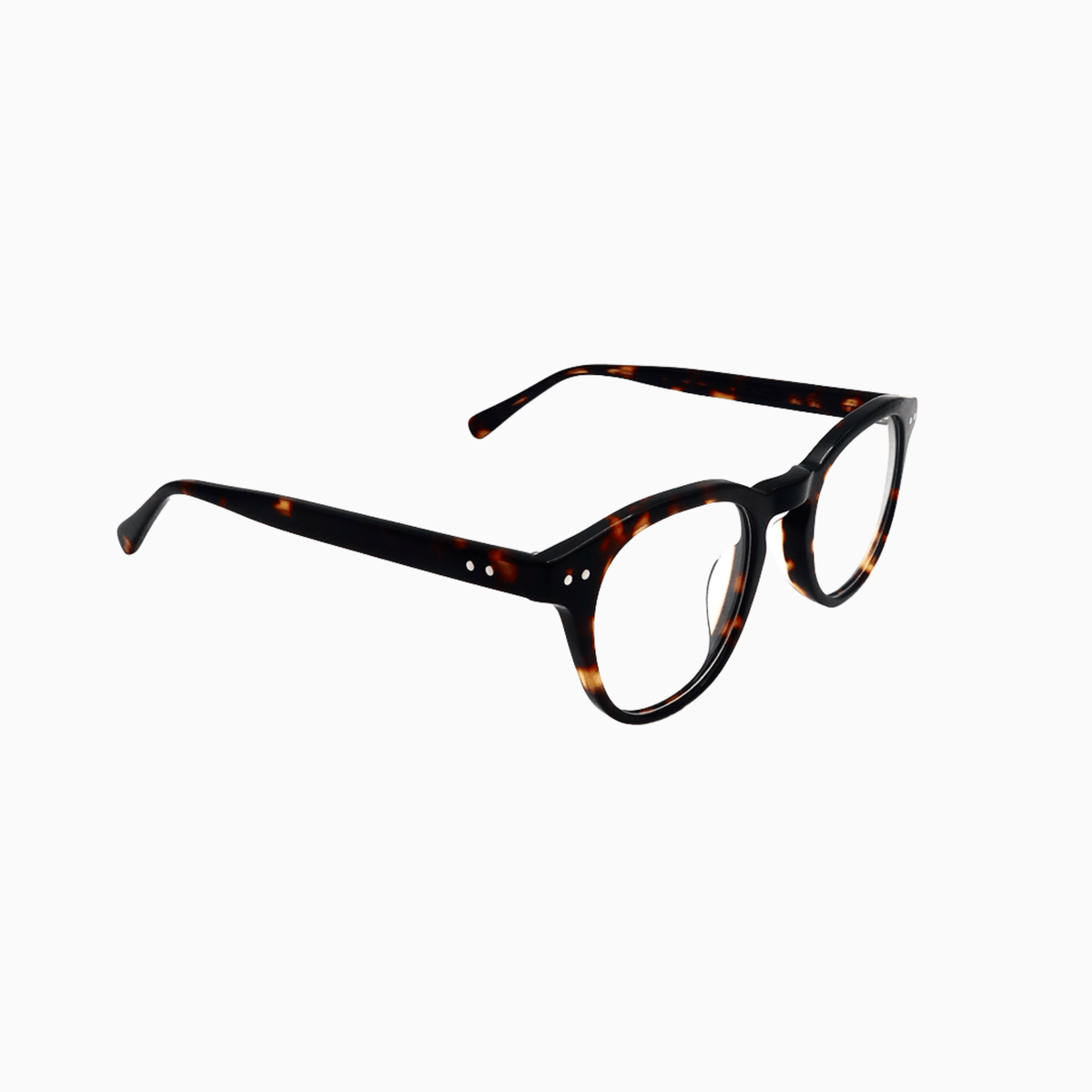 Cabot - Tortoise-2