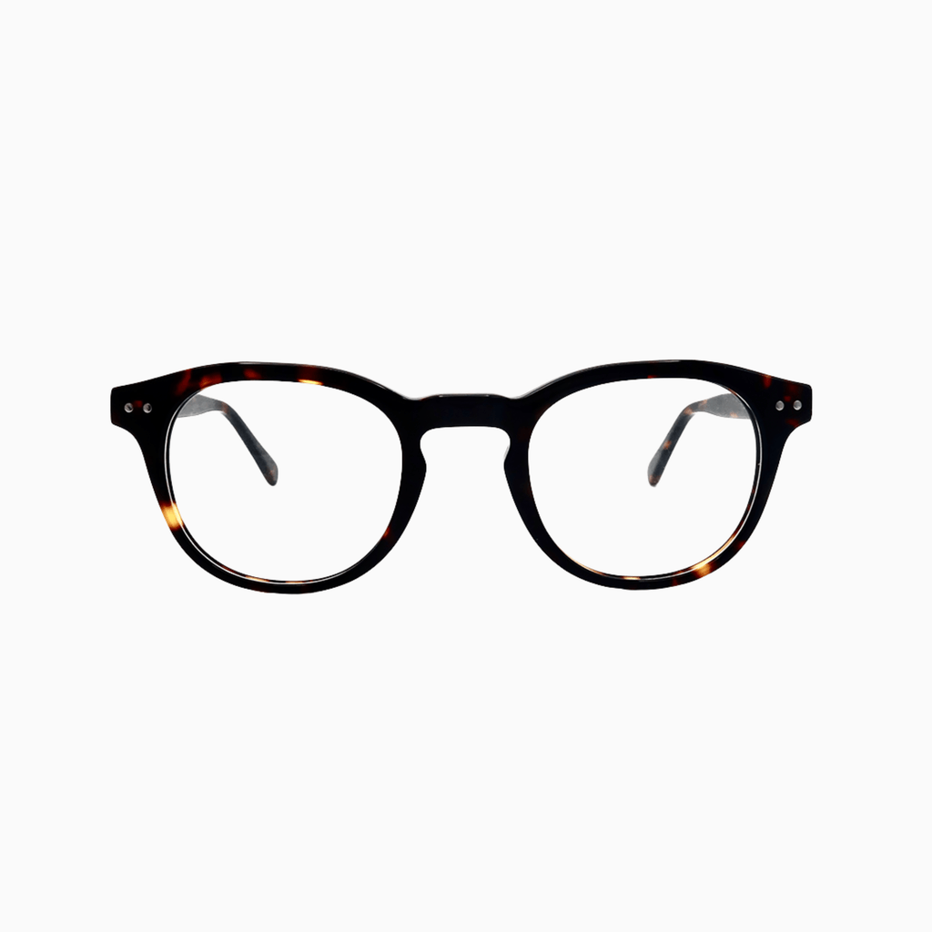 Cabot - Tortoise-4