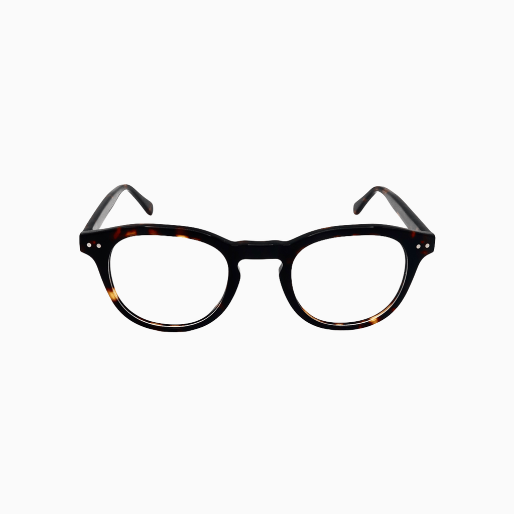 Cabot - Tortoise-3