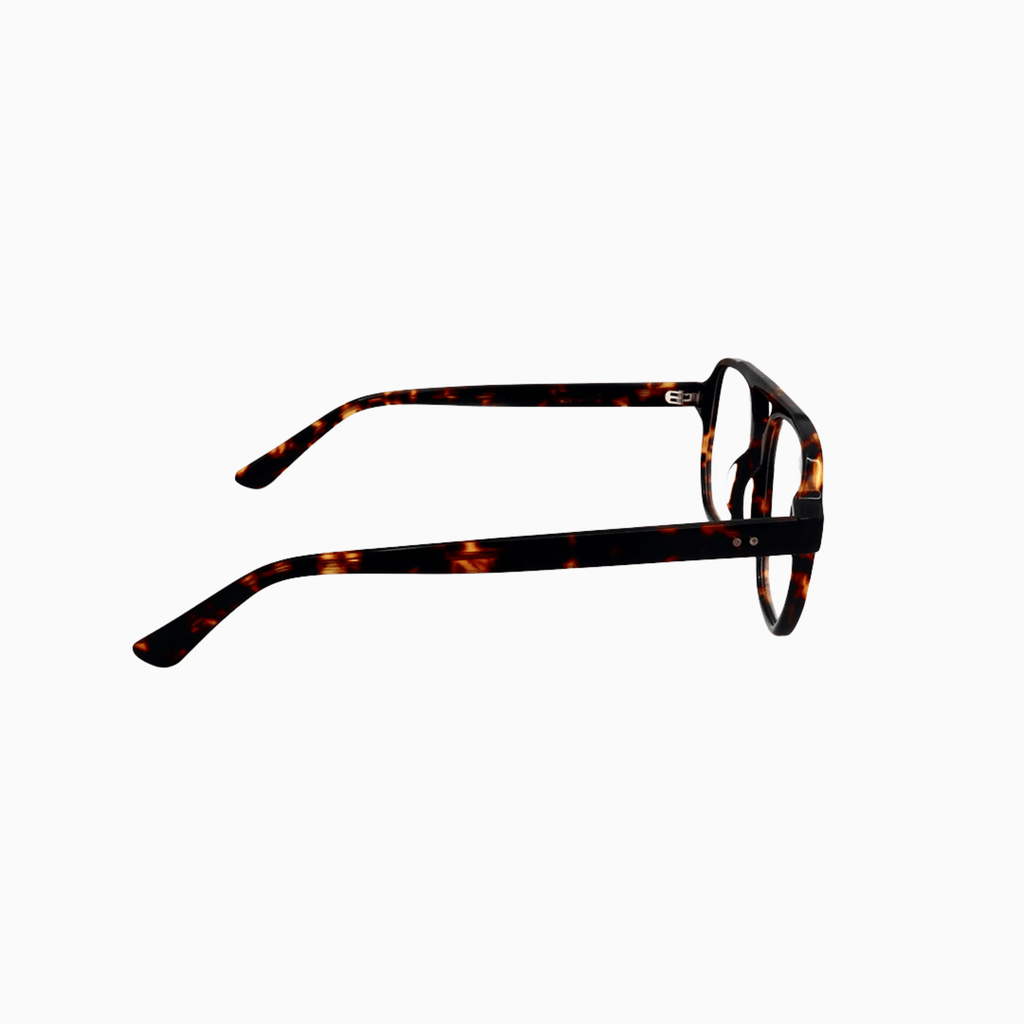 Cadogan - Tortoise-4