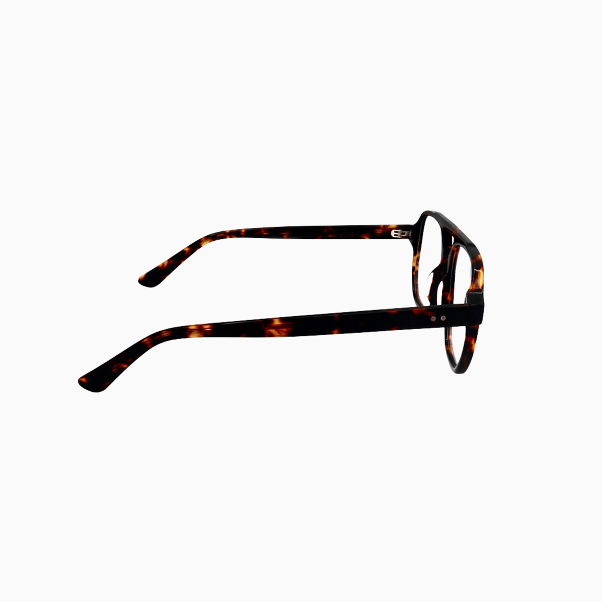 Cadogan - Tortoise-4