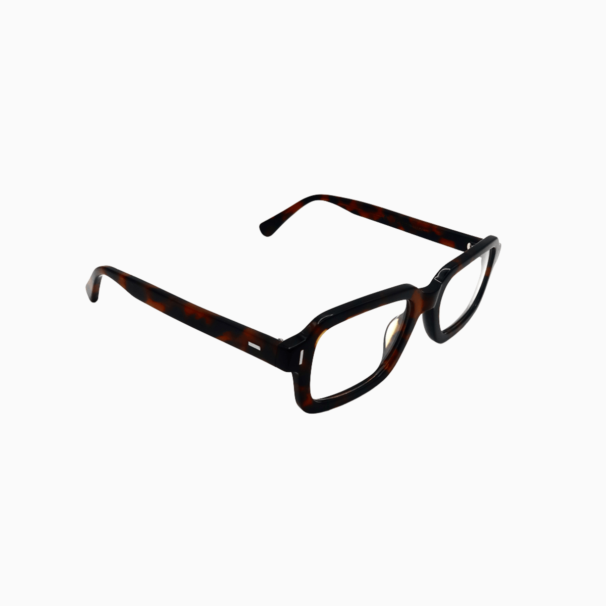 Caine - Tortoise-2
