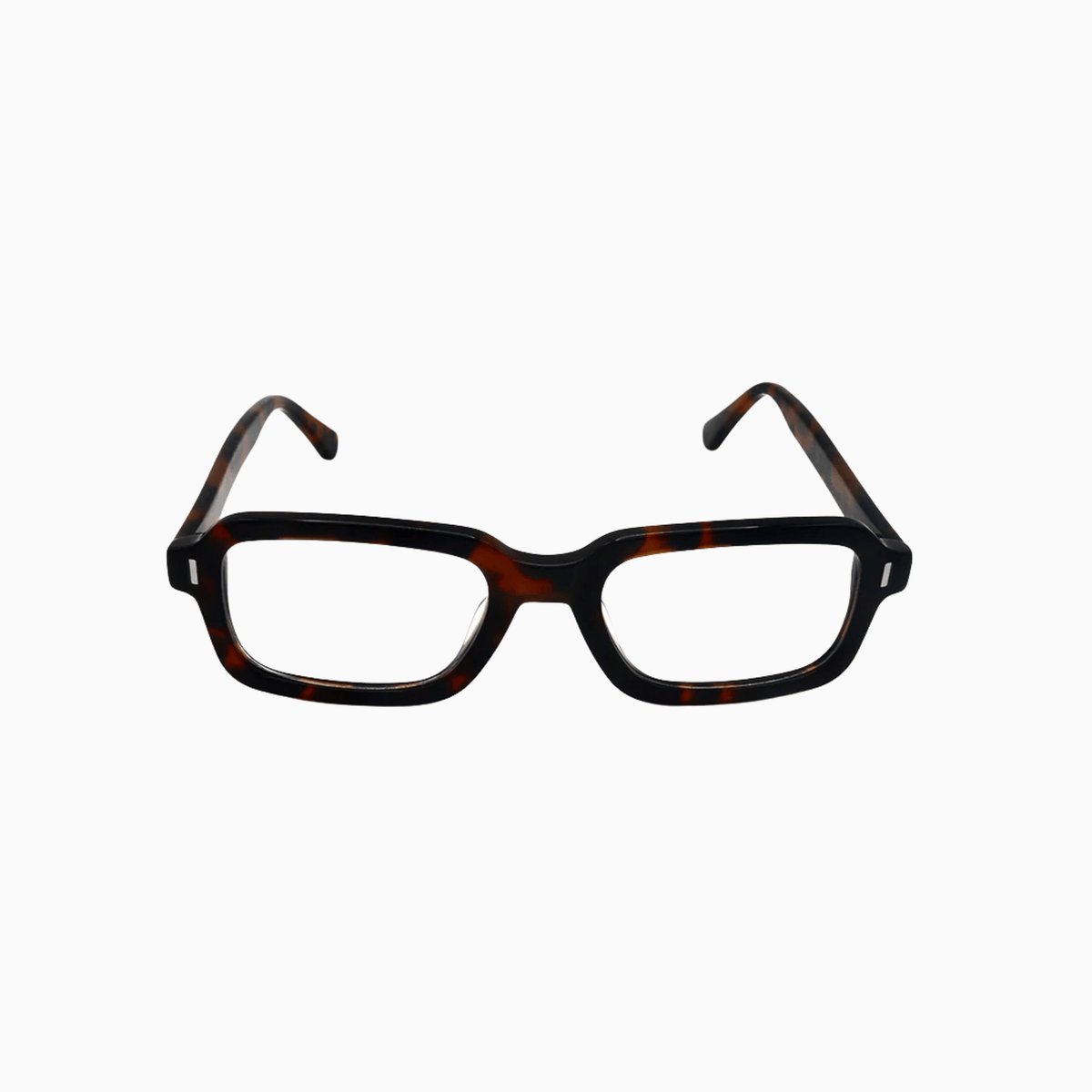 Caine - Tortoise-4