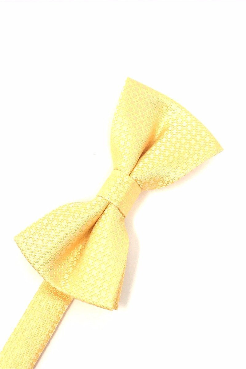 Regal pre-tied bow tie in poly woven fabric featuring an elegant micro neat pattern — view 5