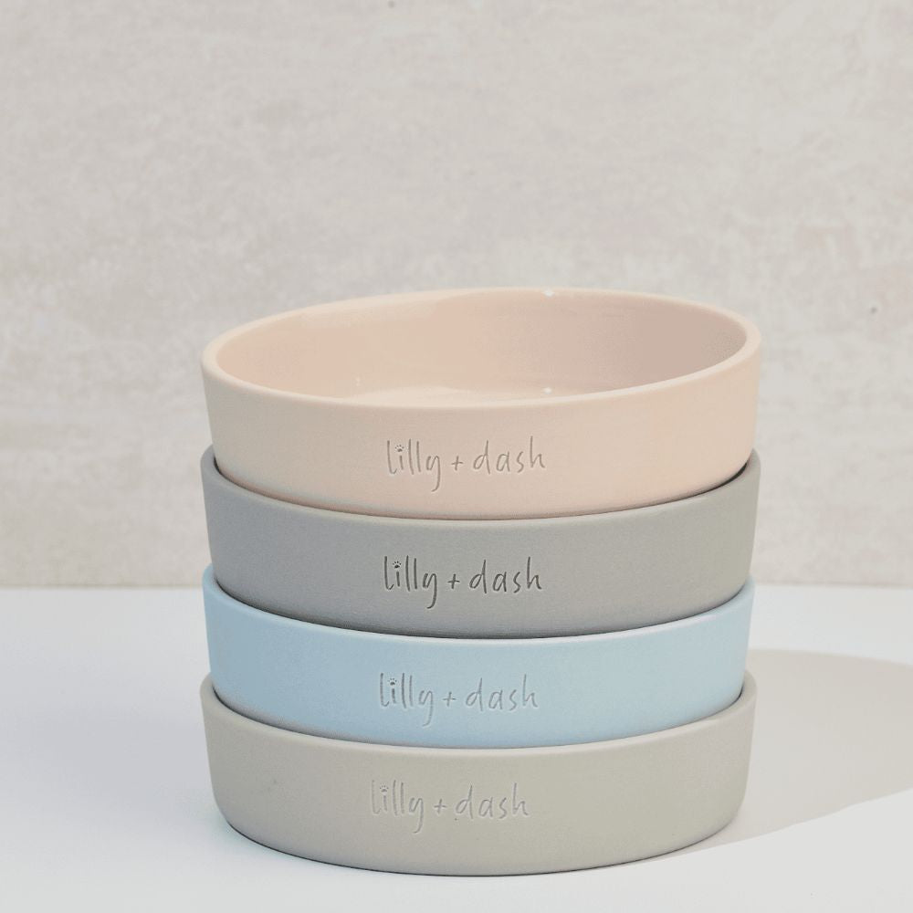 cat collars-1