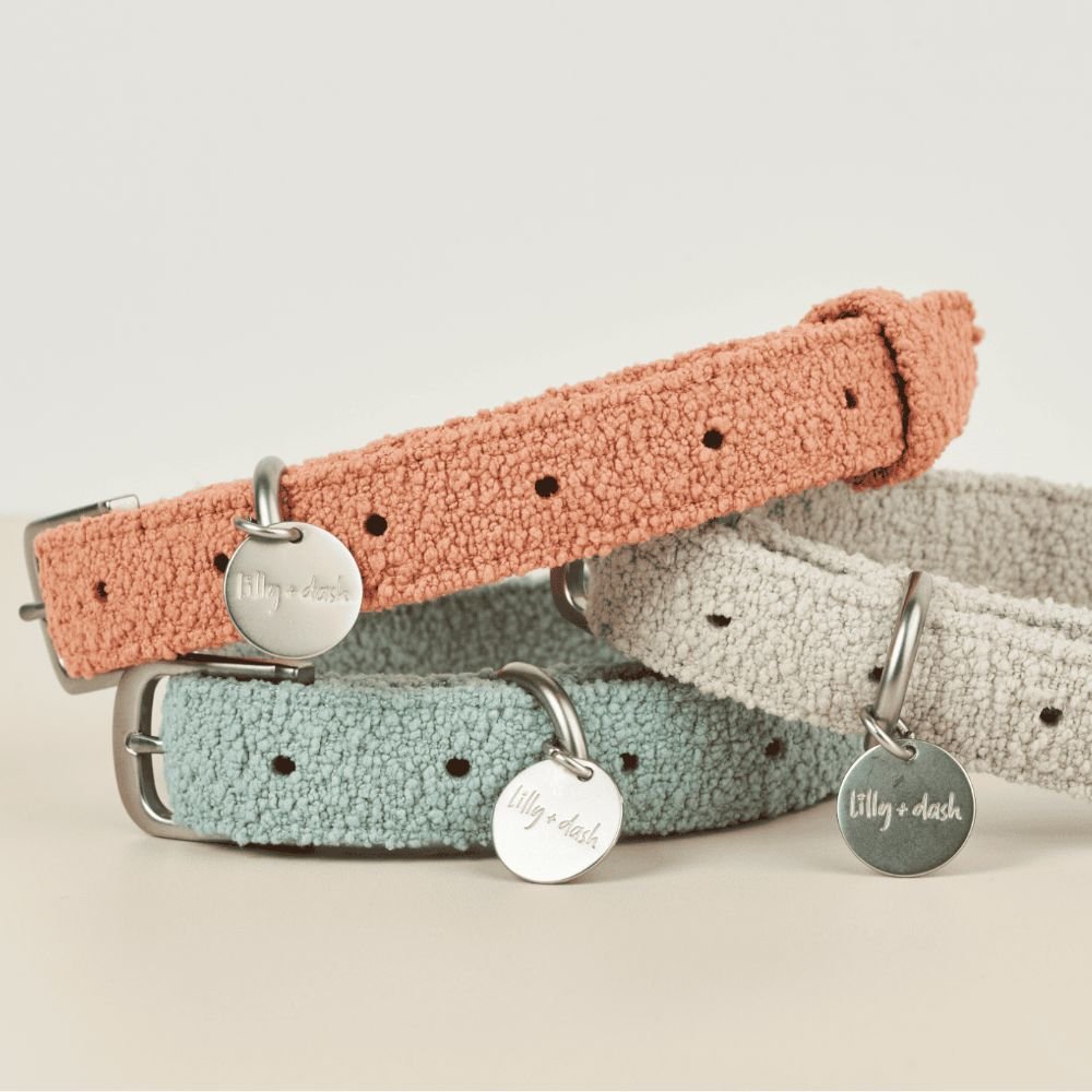 Boucle dog collar in soft textured polyester with metal hardware and engravable ID tag attached
