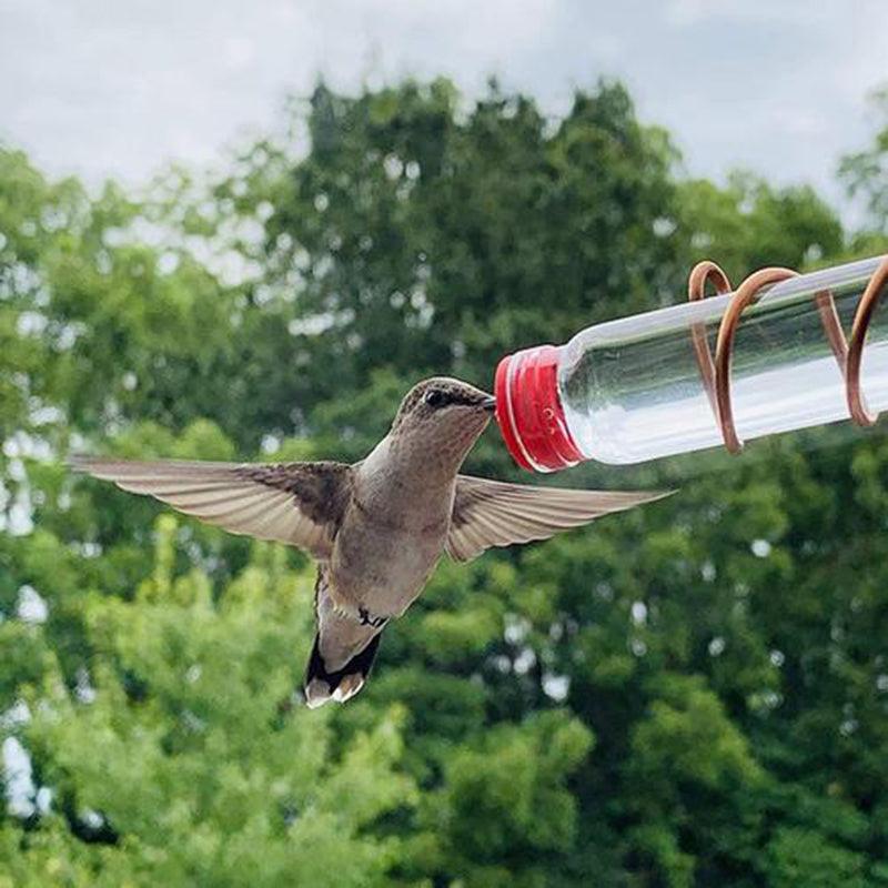 Handmade copper wire hummingbird feeder with clear nectar bottles and suction cups — view 4