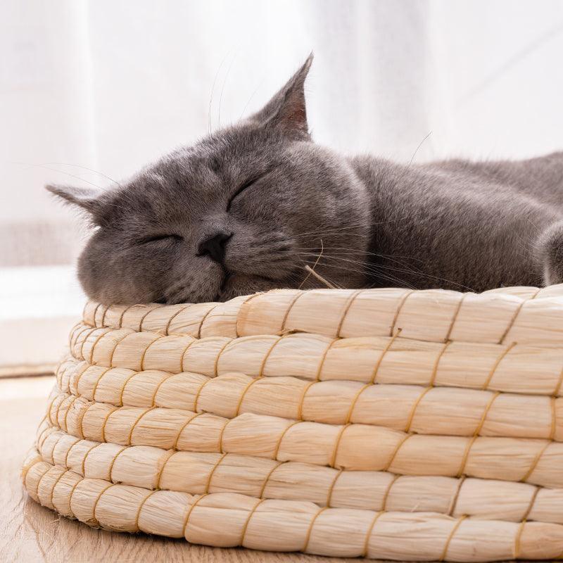 Cozy Haven handcrafted cat bed, woven straw and felt indoor cave house for small pets — view 3