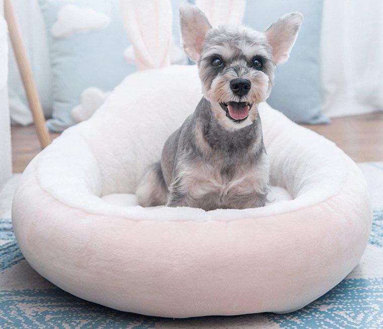 Cozy Haven all-season pet nest in plush cloth material for cats and small dogs — view 2