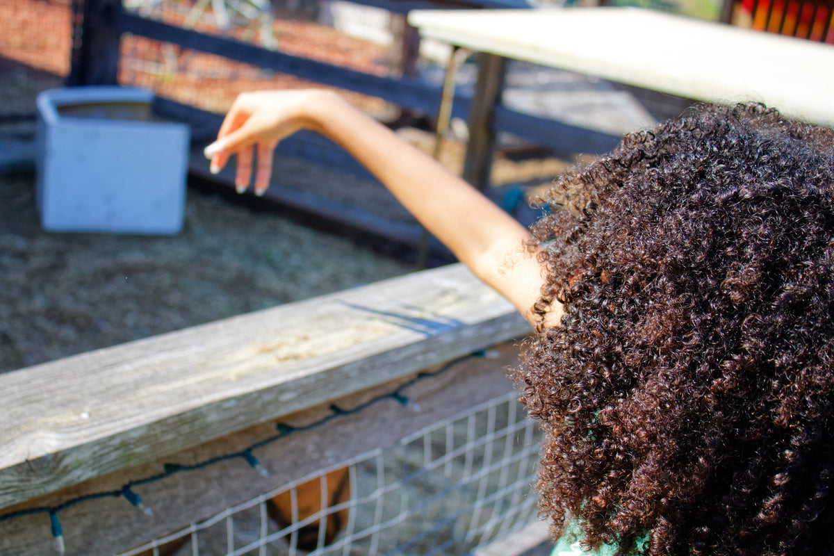 Curl Enhancing Conditioner-1