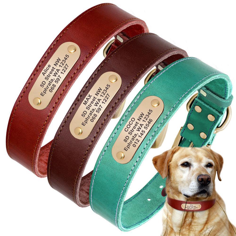 Custom engraved leather dog collar with a golden nameplate and sturdy metal hardware. — view 4