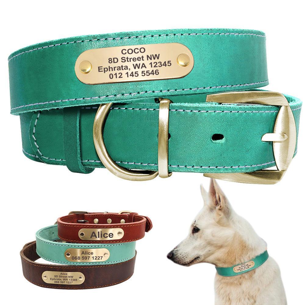 Custom engraved leather dog collar with a golden nameplate and sturdy metal hardware. — view 3