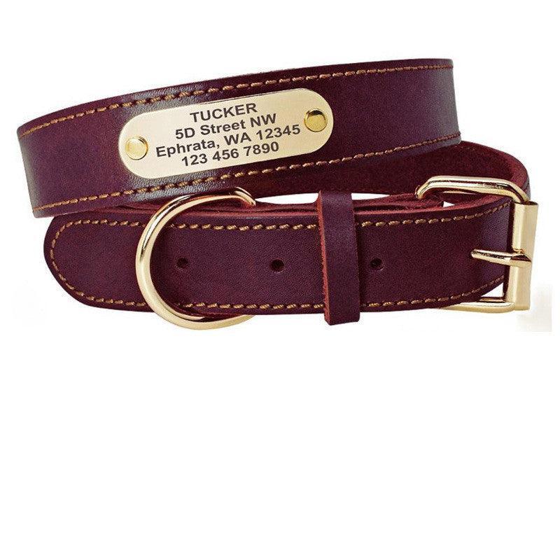 Custom engraved leather dog collar with a golden nameplate and sturdy metal hardware. — view 2