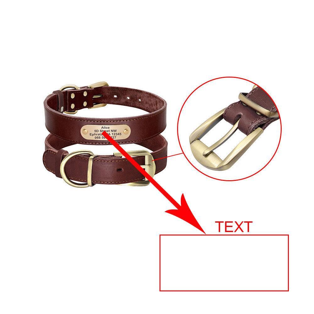 Custom engraved leather dog collar with a golden nameplate and sturdy metal hardware. — view 5