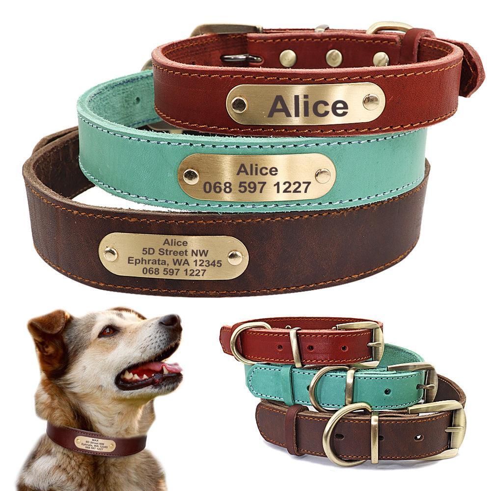 Custom engraved leather dog collar with a golden nameplate and sturdy metal hardware.