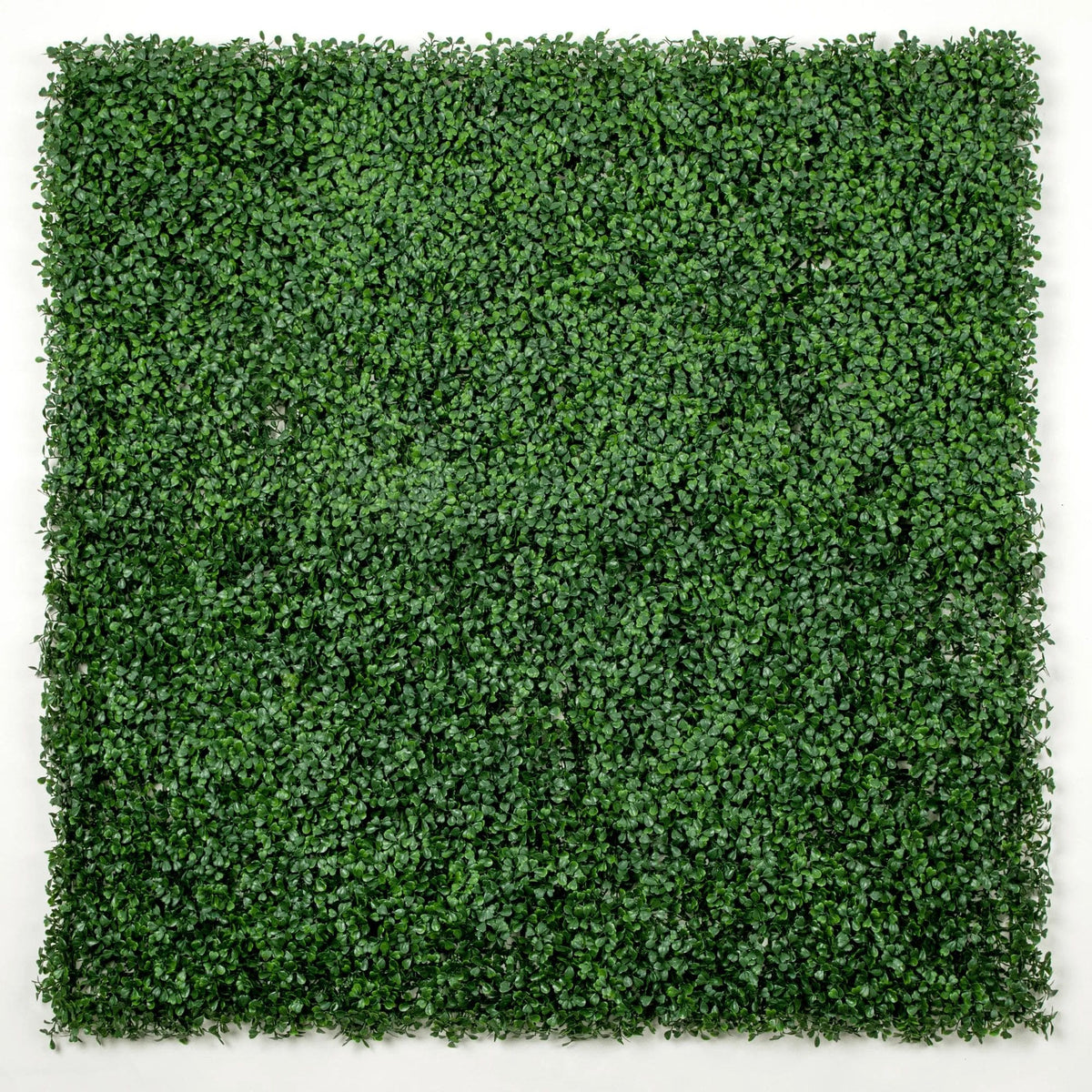 Dark Boxwood Artificial Vertical Garden Green Wall Panel 40×40in 11 SQ FT – UV Resistant – Commercial Grade-0