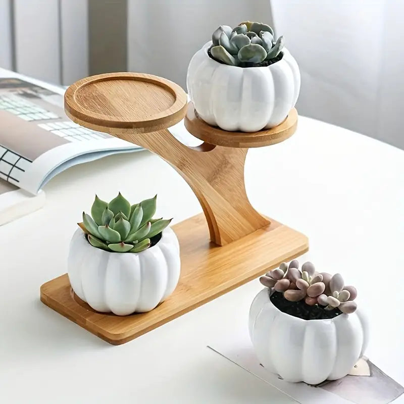 Wooden freestanding plant stand with natural finish holding multiple flower pots and Bonsai trees — view 4