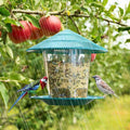 Deluxe hanging metal bird feeder with hexagonal sloping roof and clear plastic seed dispenser body