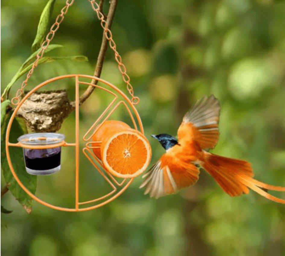 Deluxe metal swing bird feeder in vibrant iron hanging from a backyard garden branch. — view 5