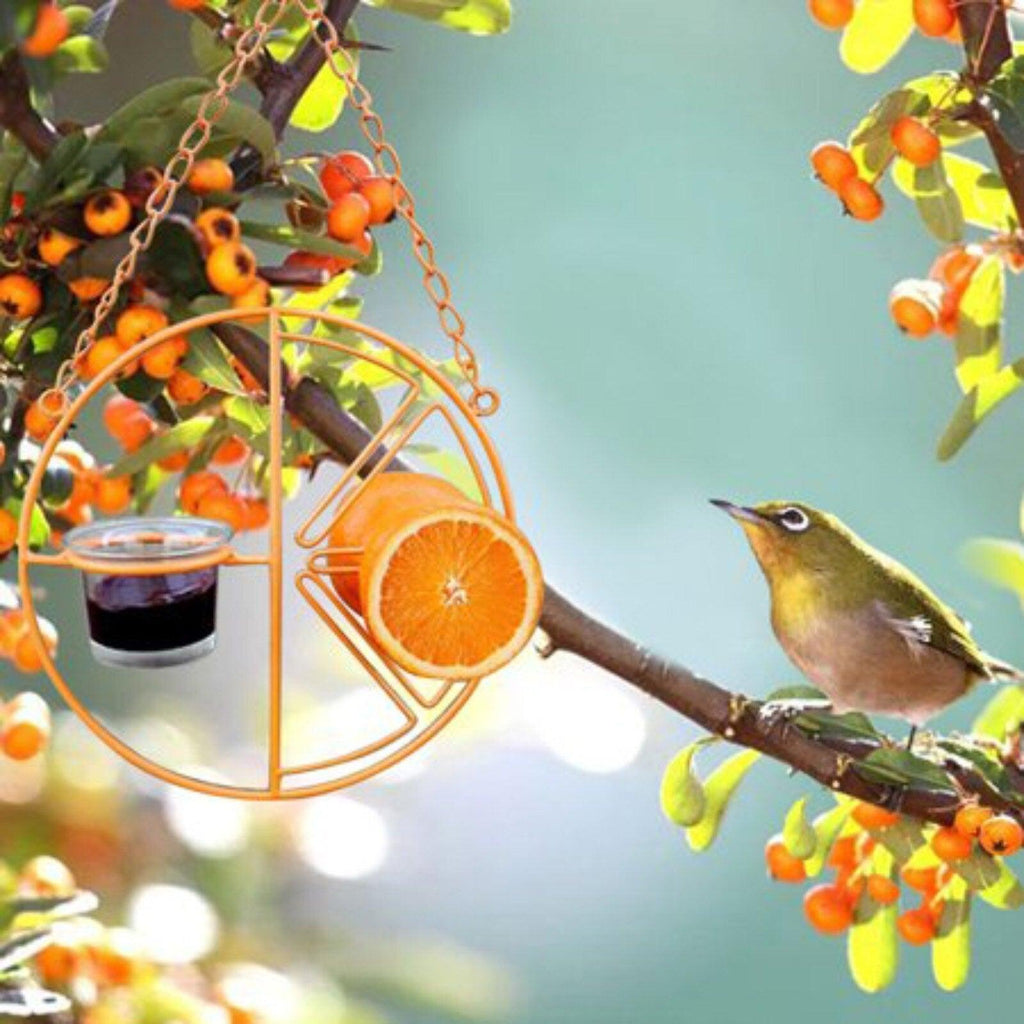 Deluxe metal swing bird feeder in vibrant iron hanging from a backyard garden branch.
