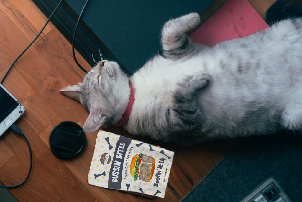 Single Ingredient, High Value Freeze-Dried Training Treats for Dogs & Cats - Beef Liver-2