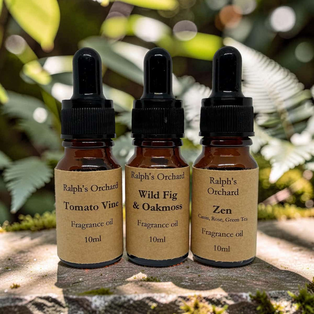 Fragrance oil gift set featuring three 10ml amber glass pipette bottles in a curated arrangement — view 2