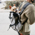 Portable pet carrier backpack in solid color fabric with adjustable shoulder straps for dogs and cats