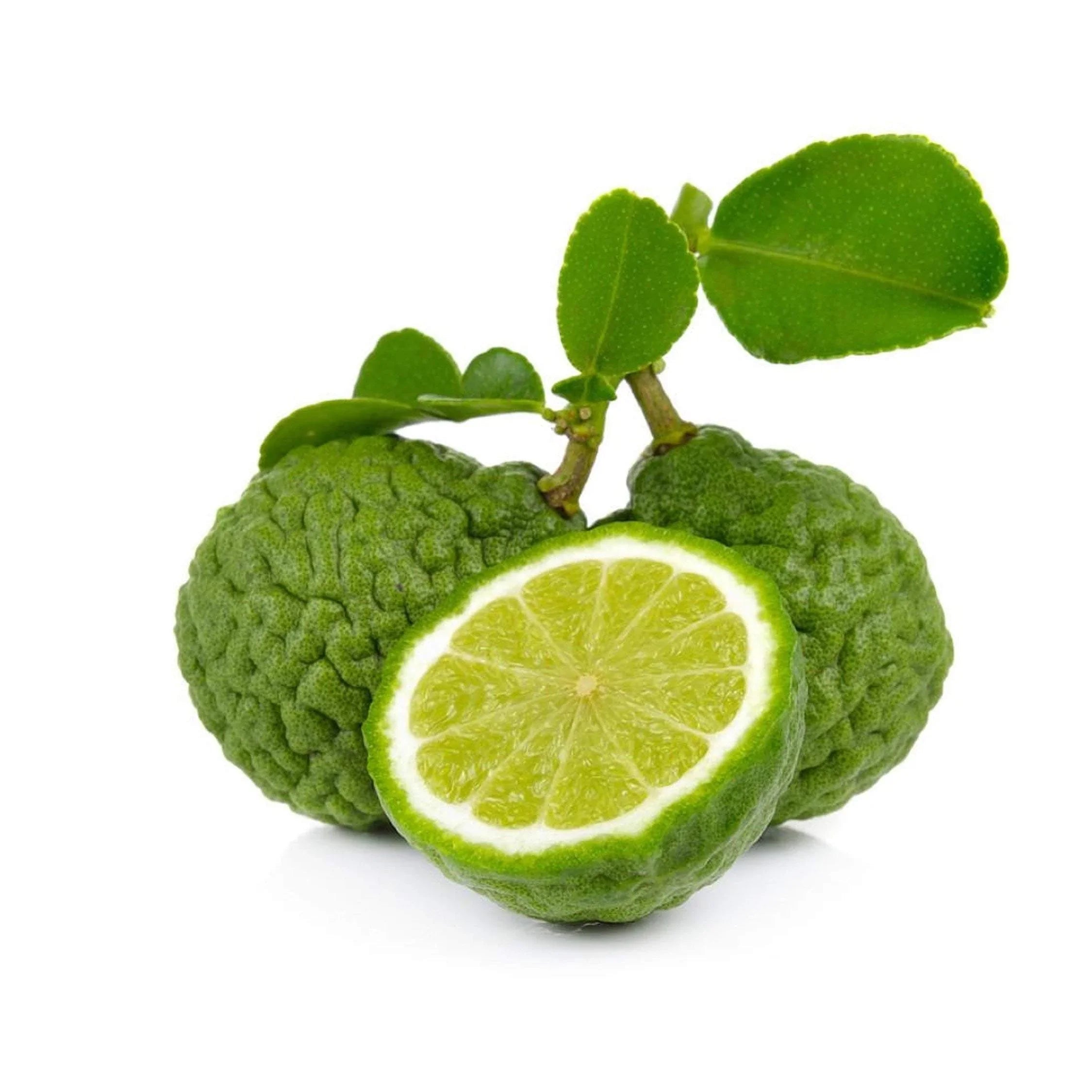 Handcrafted bergamot citrus natural bar soap for face and body cleansing against a clean background — view 5